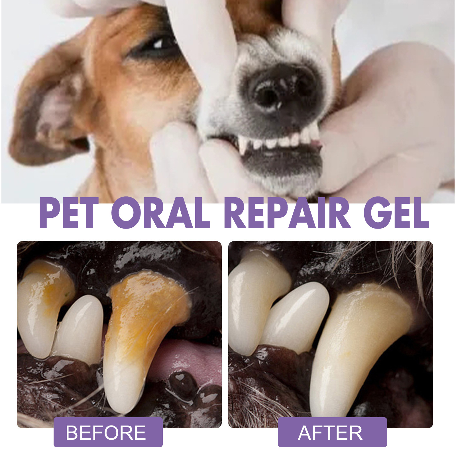 Huisdier Orale Reparatie Gel P - Teeth Whitening Gels Used By Dentists recensie en prijs