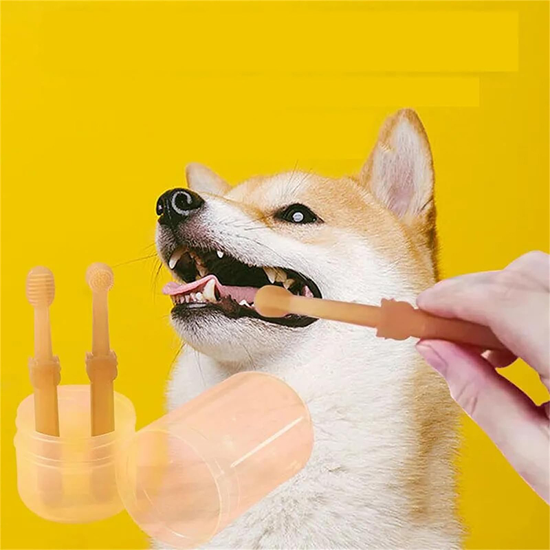 Tanden bleken Hond Kat Silicon - Teeth Whitening Kit recensie en prijs